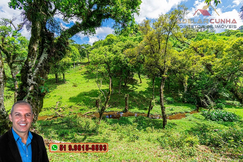 Chácara de 2 hectares à VENDA em São Francisco de Paula - RS: 21ª foto da galeria de imagens do imóvel
