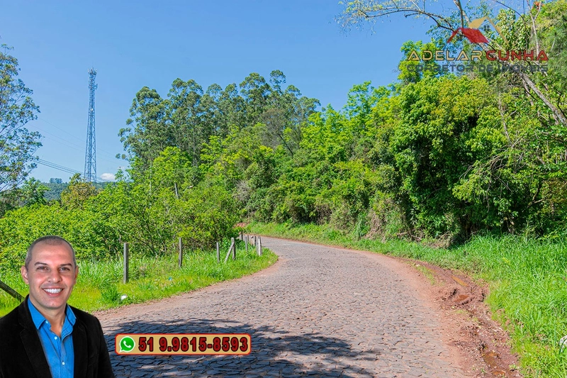 Sítio à VENDA em Três Coroas: 10ª foto da galeria de imagens do imóvel