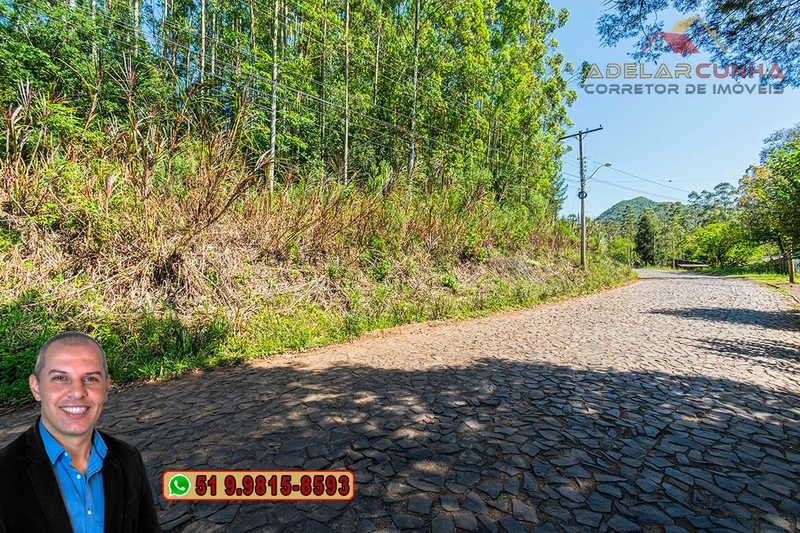 Sítio à VENDA em Três Coroas: 4ª foto da galeria de imagens do imóvel