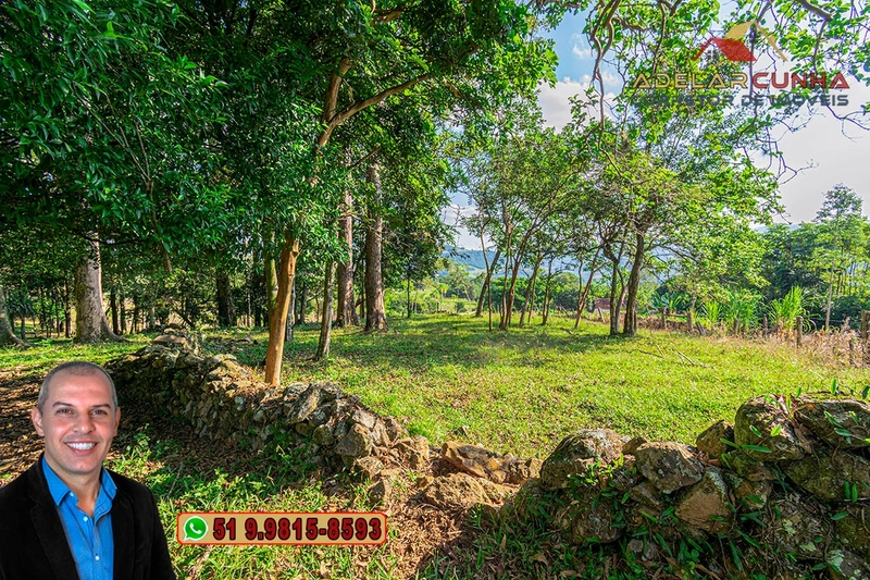 Chácara de 2.3 hectares à VENDA em Três Coroas - RS: 7ª foto da galeria de imagens do imóvel