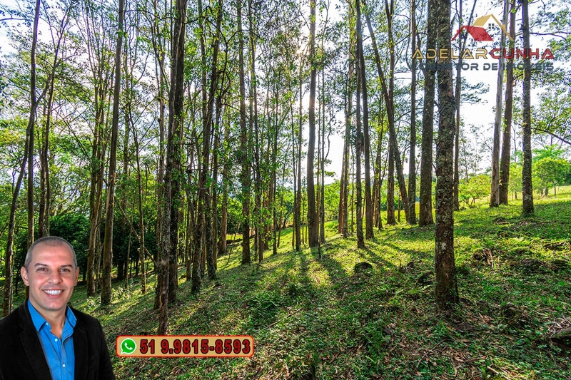 Chácara de 2.3 hectares à VENDA em Três Coroas - RS: 28ª foto da galeria de imagens do imóvel