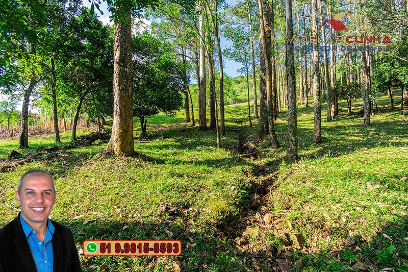 Chácara de 2.3 hectares à VENDA em Três Coroas - RS: 2ª foto da galeria de imagens do imóvel