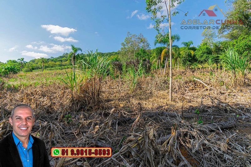 Chácara de 2.3 hectares à VENDA em Três Coroas - RS: 8ª foto da galeria de imagens do imóvel