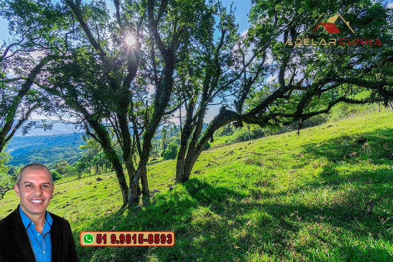 Chácara de 2.3 hectares à VENDA em Três Coroas - RS: 19ª foto da galeria de imagens do imóvel