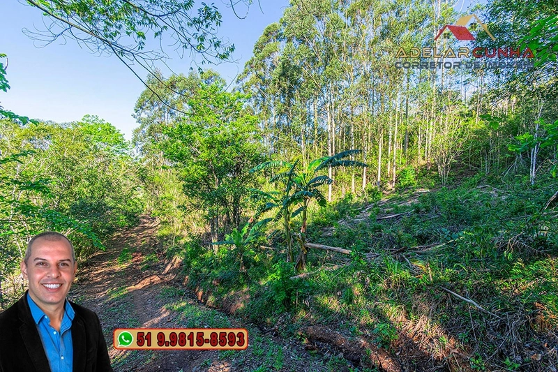 Sítio de 13.5 hectares à VENDA em Igrejinha - RS: 74ª foto da galeria de imagens do imóvel