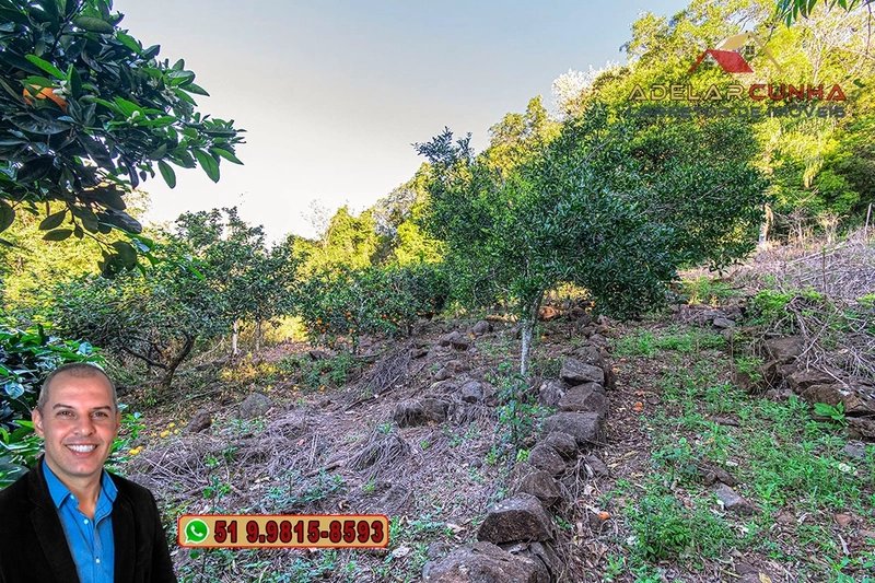 Sítio de 13.5 hectares à VENDA em Igrejinha - RS: 81ª foto da galeria de imagens do imóvel