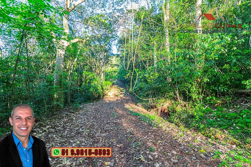 Sítio de 13.5 hectares à VENDA em Igrejinha - RS: 76ª foto da galeria de imagens do imóvel