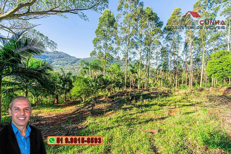 Sítio de 13.5 hectares à VENDA em Igrejinha - RS: 82ª foto da galeria de imagens do imóvel
