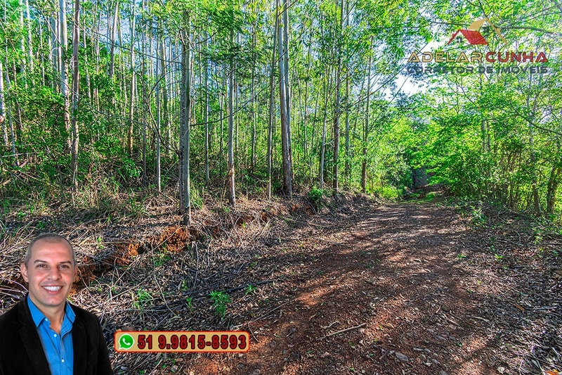 Sítio de 13.5 hectares à VENDA em Igrejinha - RS: 72ª foto da galeria de imagens do imóvel