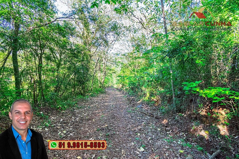 Sítio de 13.5 hectares à VENDA em Igrejinha - RS: 75ª foto da galeria de imagens do imóvel