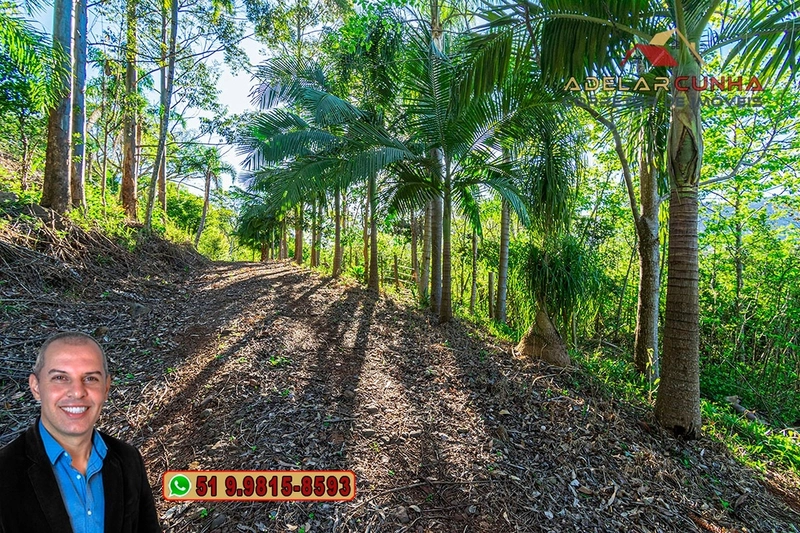 Sítio de 13.5 hectares à VENDA em Igrejinha - RS: 78ª foto da galeria de imagens do imóvel