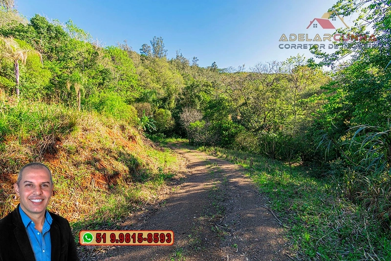 Sítio de 13.5 hectares à VENDA em Igrejinha - RS: 68ª foto da galeria de imagens do imóvel