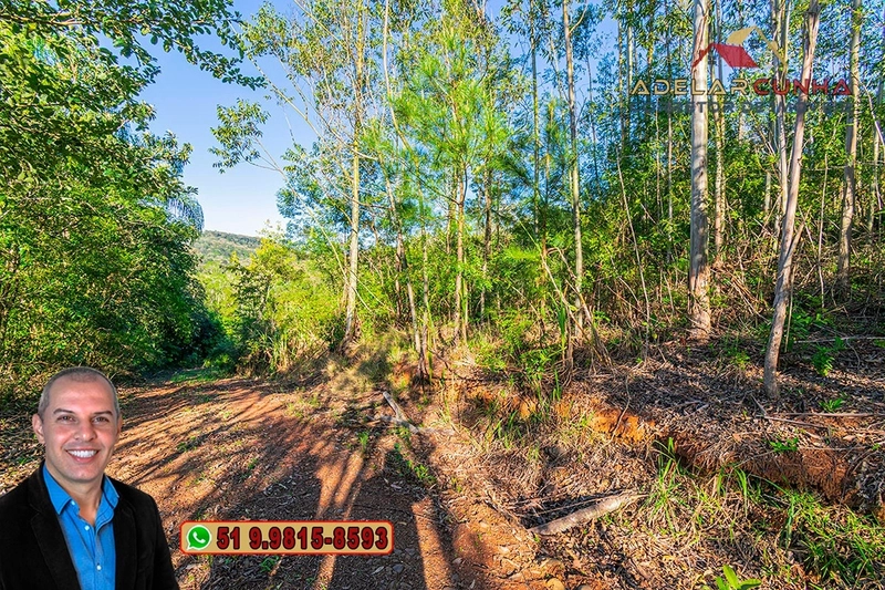Sítio de 13.5 hectares à VENDA em Igrejinha - RS: 73ª foto da galeria de imagens do imóvel