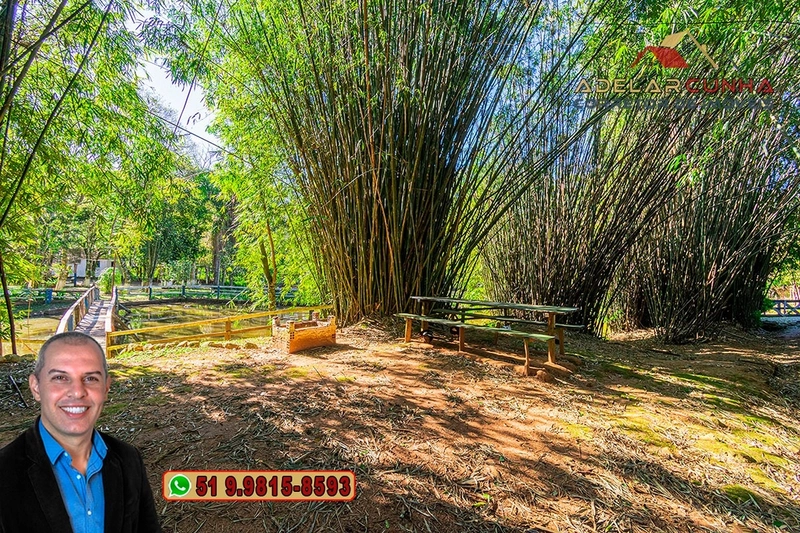 Sítio de 13.5 hectares à VENDA em Igrejinha - RS: 21ª foto da galeria de imagens do imóvel