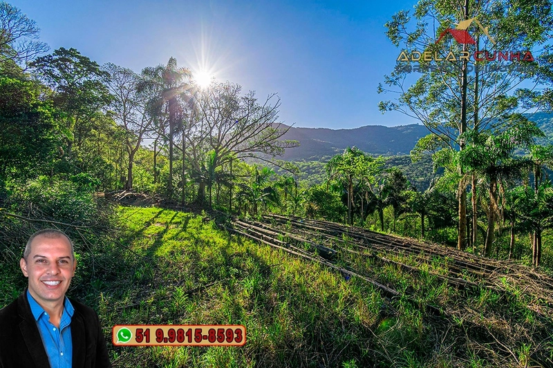 Sítio de 13.5 hectares à VENDA em Igrejinha - RS: 83ª foto da galeria de imagens do imóvel