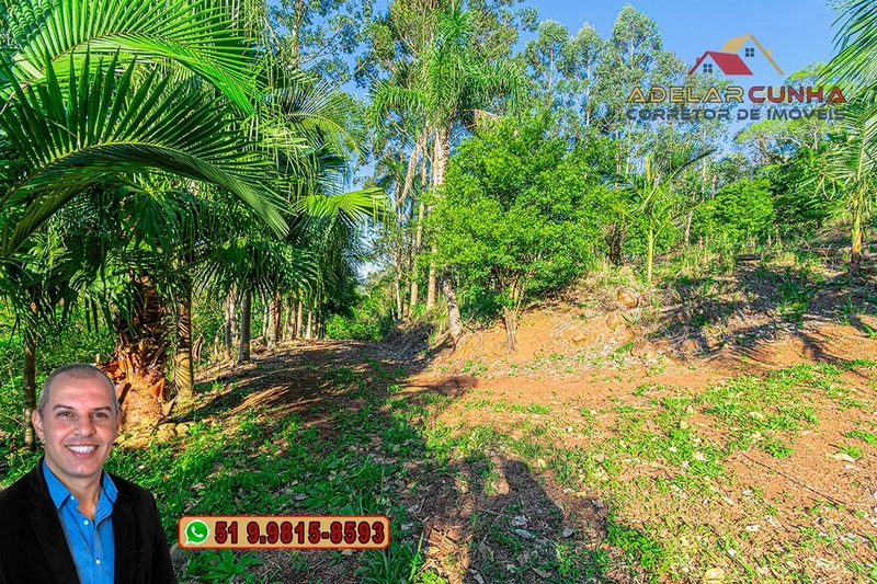 Sítio de 13.5 hectares à VENDA em Igrejinha - RS: 79ª foto da galeria de imagens do imóvel