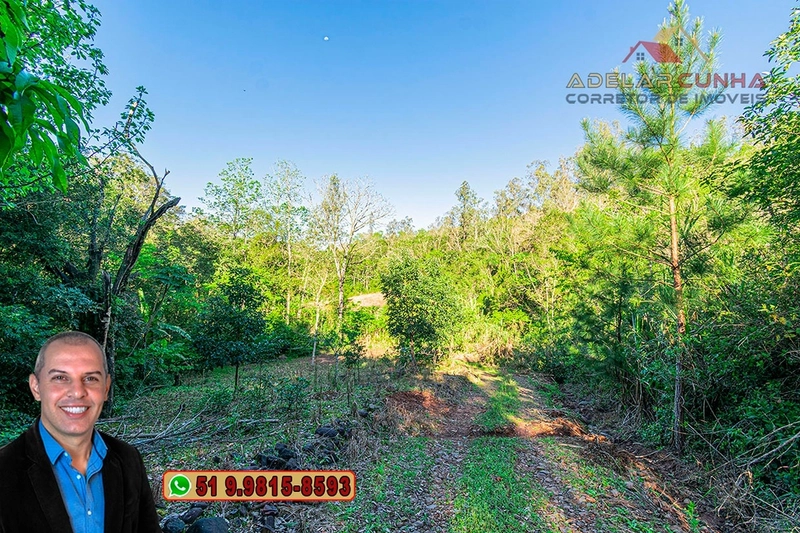 Sítio de 13.5 hectares à VENDA em Igrejinha - RS: 71ª foto da galeria de imagens do imóvel