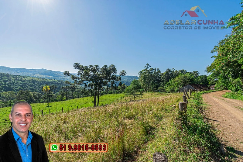 Sítio de 12 hectares à Venda em Igrejinha - RS: 34ª foto da galeria de imagens do imóvel