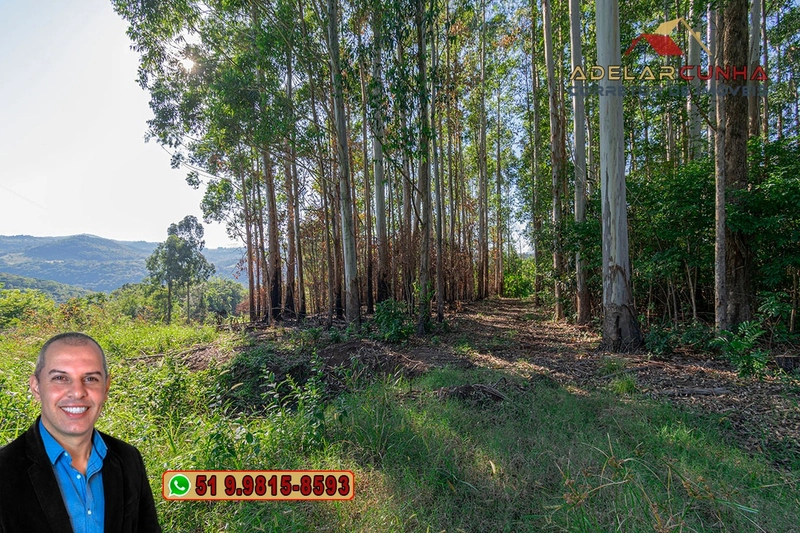 Sítio de 12 hectares à Venda em Igrejinha - RS: 45ª foto da galeria de imagens do imóvel