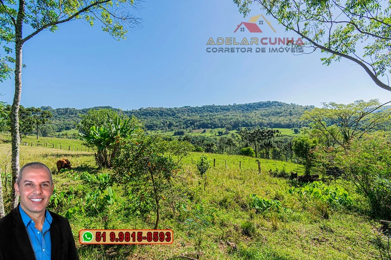 Sítio de 12 hectares à Venda em Igrejinha - RS: 47ª foto da galeria de imagens do imóvel