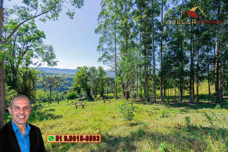 Sítio de 12 hectares à Venda em Igrejinha - RS: 46ª foto da galeria de imagens do imóvel