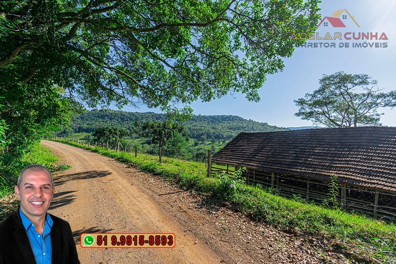 Sítio de 12 hectares à Venda em Igrejinha - RS: 32ª foto da galeria de imagens do imóvel