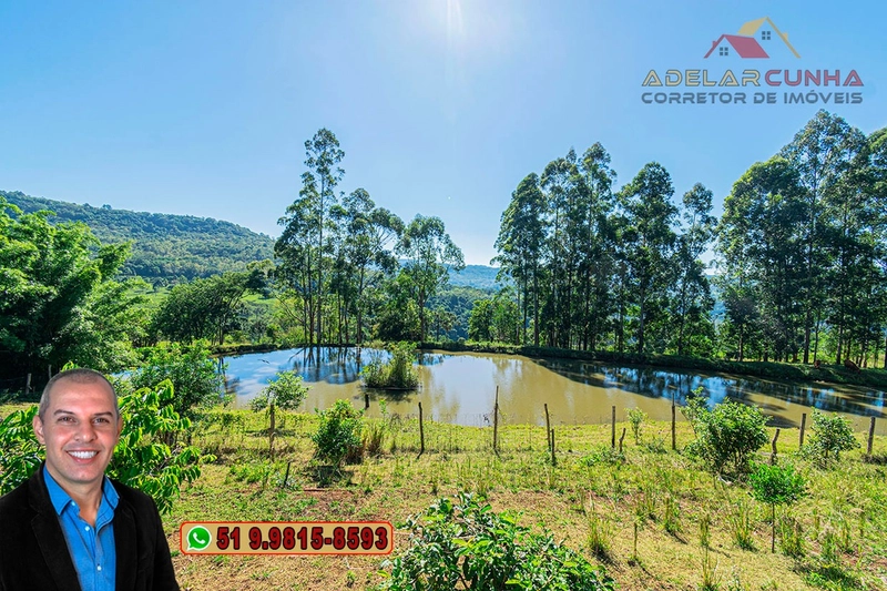 Sítio de 12 hectares à Venda em Igrejinha - RS: 14ª foto da galeria de imagens do imóvel
