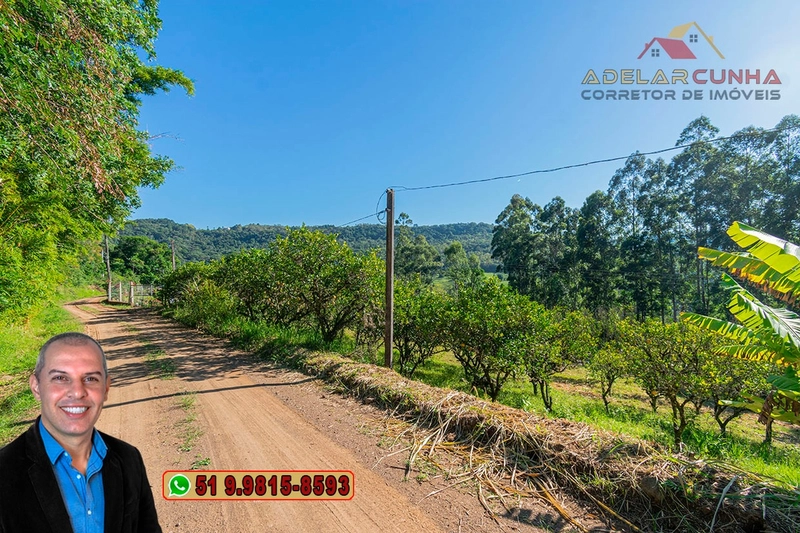 Sítio de 12 hectares à Venda em Igrejinha - RS: 2ª foto da galeria de imagens do imóvel