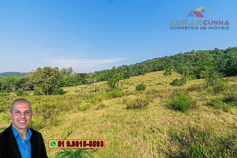 Sítio de 41.8 hectares à VENDA em Taquara - RS: 14ª foto da galeria de imagens do imóvel