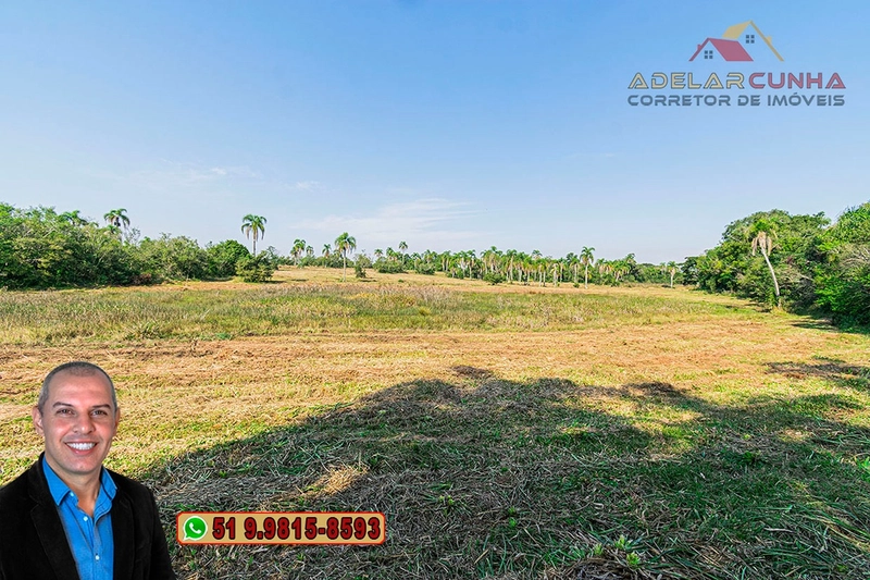Sítio de 41.8 hectares à VENDA em Taquara - RS: 44ª foto da galeria de imagens do imóvel