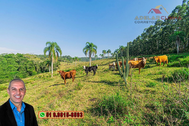 Sítio de 41.8 hectares à VENDA em Taquara - RS: 5ª foto da galeria de imagens do imóvel