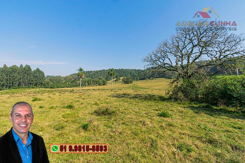 Sítio de 41.8 hectares à VENDA em Taquara - RS: 50ª foto da galeria de imagens do imóvel