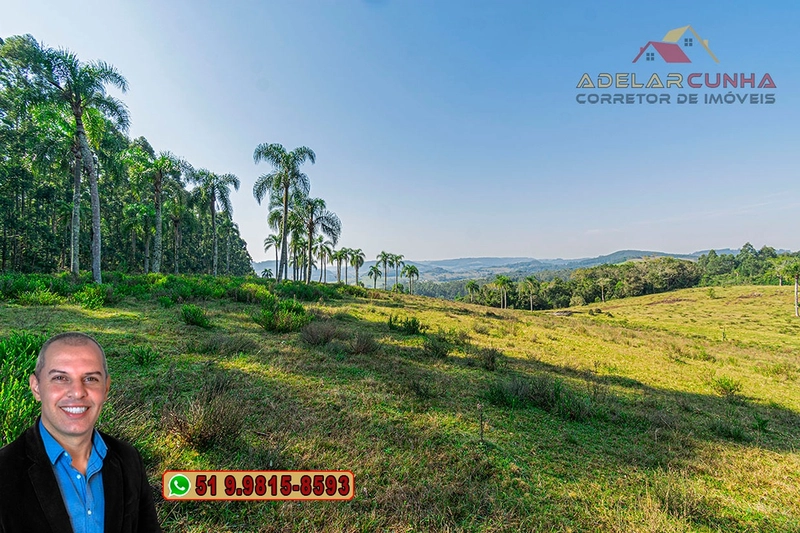Sítio de 41.8 hectares à VENDA em Taquara - RS: 11ª foto da galeria de imagens do imóvel