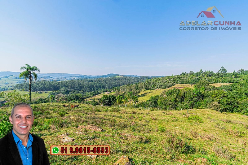 Sítio de 41.8 hectares à VENDA em Taquara - RS: 2ª foto da galeria de imagens do imóvel