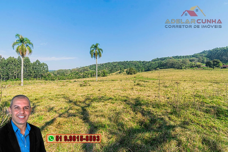 Sítio de 41.8 hectares à VENDA em Taquara - RS: 16ª foto da galeria de imagens do imóvel