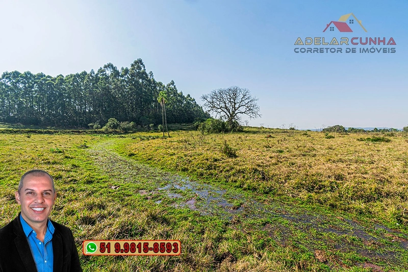 Sítio de 41.8 hectares à VENDA em Taquara - RS: 17ª foto da galeria de imagens do imóvel