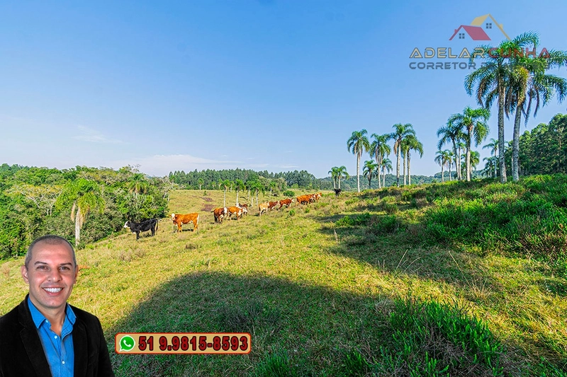 Sítio de 41.8 hectares à VENDA em Taquara - RS: 6ª foto da galeria de imagens do imóvel