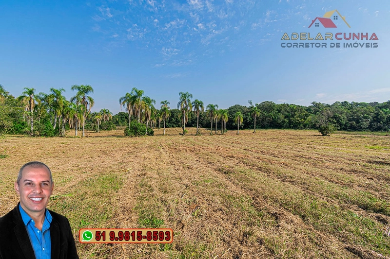 Sítio de 41.8 hectares à VENDA em Taquara - RS: 71ª foto da galeria de imagens do imóvel