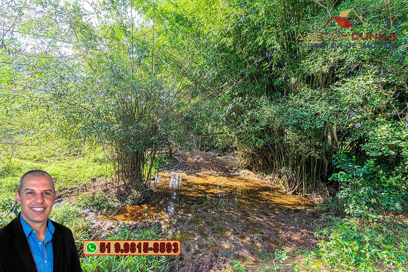 Sítio de 41.8 hectares à VENDA em Taquara - RS: 69ª foto da galeria de imagens do imóvel