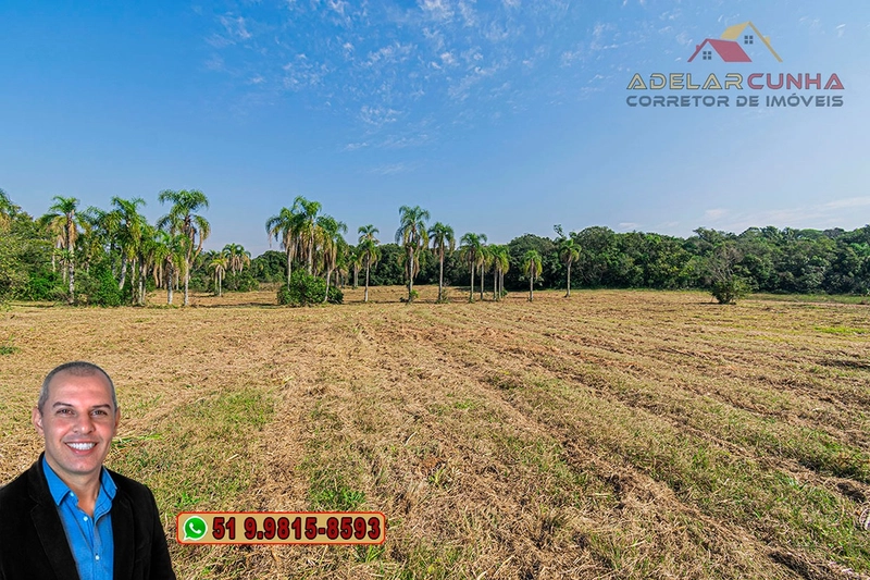 Sítio de 41.8 hectares à VENDA em Taquara - RS: 36ª foto da galeria de imagens do imóvel