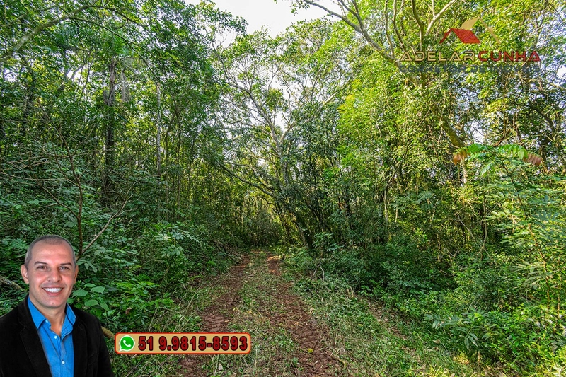 Sítio de 41.8 hectares à VENDA em Taquara - RS: 60ª foto da galeria de imagens do imóvel