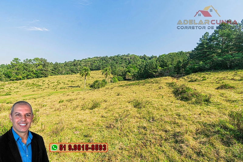 Sítio de 41.8 hectares à VENDA em Taquara - RS: 22ª foto da galeria de imagens do imóvel