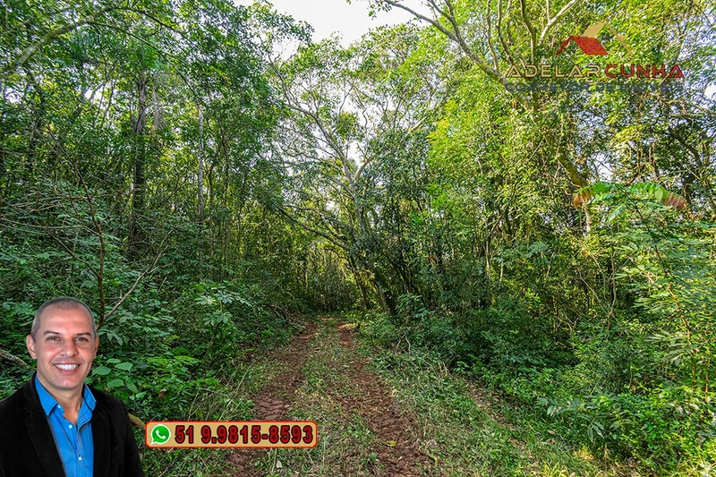 Sítio de 41.8 hectares à VENDA em Taquara - RS: 25ª foto da galeria de imagens do imóvel