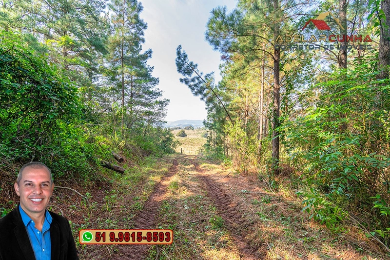 Sítio de 41.8 hectares à VENDA em Taquara - RS: 59ª foto da galeria de imagens do imóvel