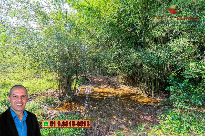 Sítio de 41.8 hectares à VENDA em Taquara - RS: 30ª foto da galeria de imagens do imóvel