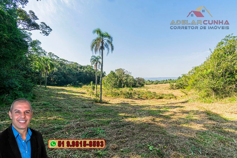 Sítio de 41.8 hectares à VENDA em Taquara - RS: 9ª foto da galeria de imagens do imóvel