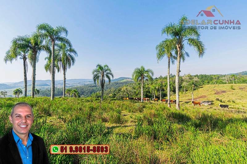 Sítio de 41.8 hectares à VENDA em Taquara - RS: 42ª foto da galeria de imagens do imóvel