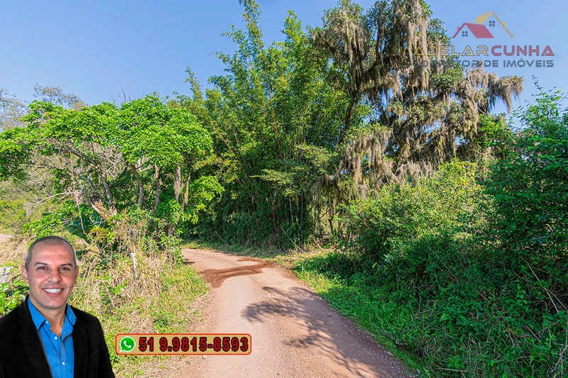 Sítio de 41.8 hectares à VENDA em Taquara - RS: 32ª foto da galeria de imagens do imóvel