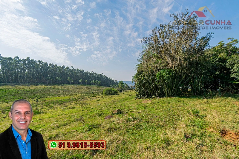 Sítio de 41.8 hectares à VENDA em Taquara - RS: 19ª foto da galeria de imagens do imóvel