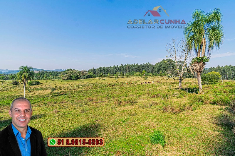 Sítio de 41.8 hectares à VENDA em Taquara - RS: 13ª foto da galeria de imagens do imóvel